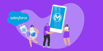 K2View-MuleSoft image