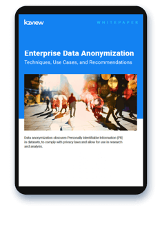 Download the What is Data Anonymization whitepaper
