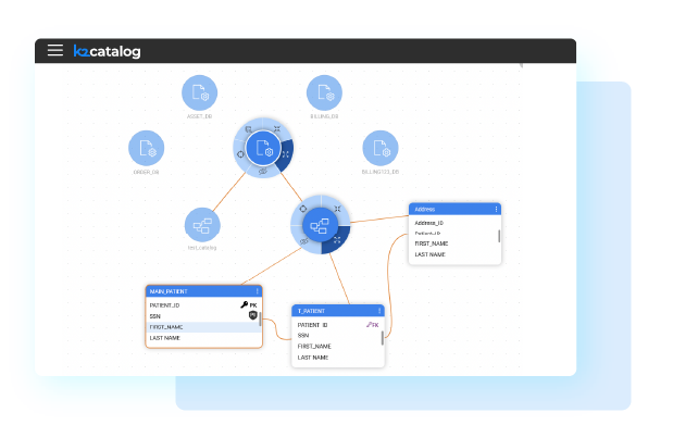 K2view Data Catalog Tools