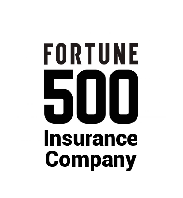 fortune 500-3