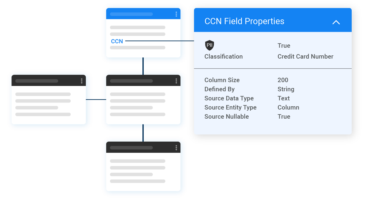 Data anonymization tool and automated discovery