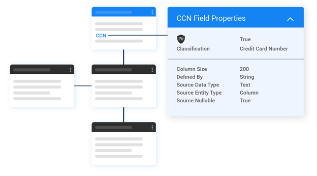 Data anonymization tool and automated discovery Data anonymization tool and automated discovery