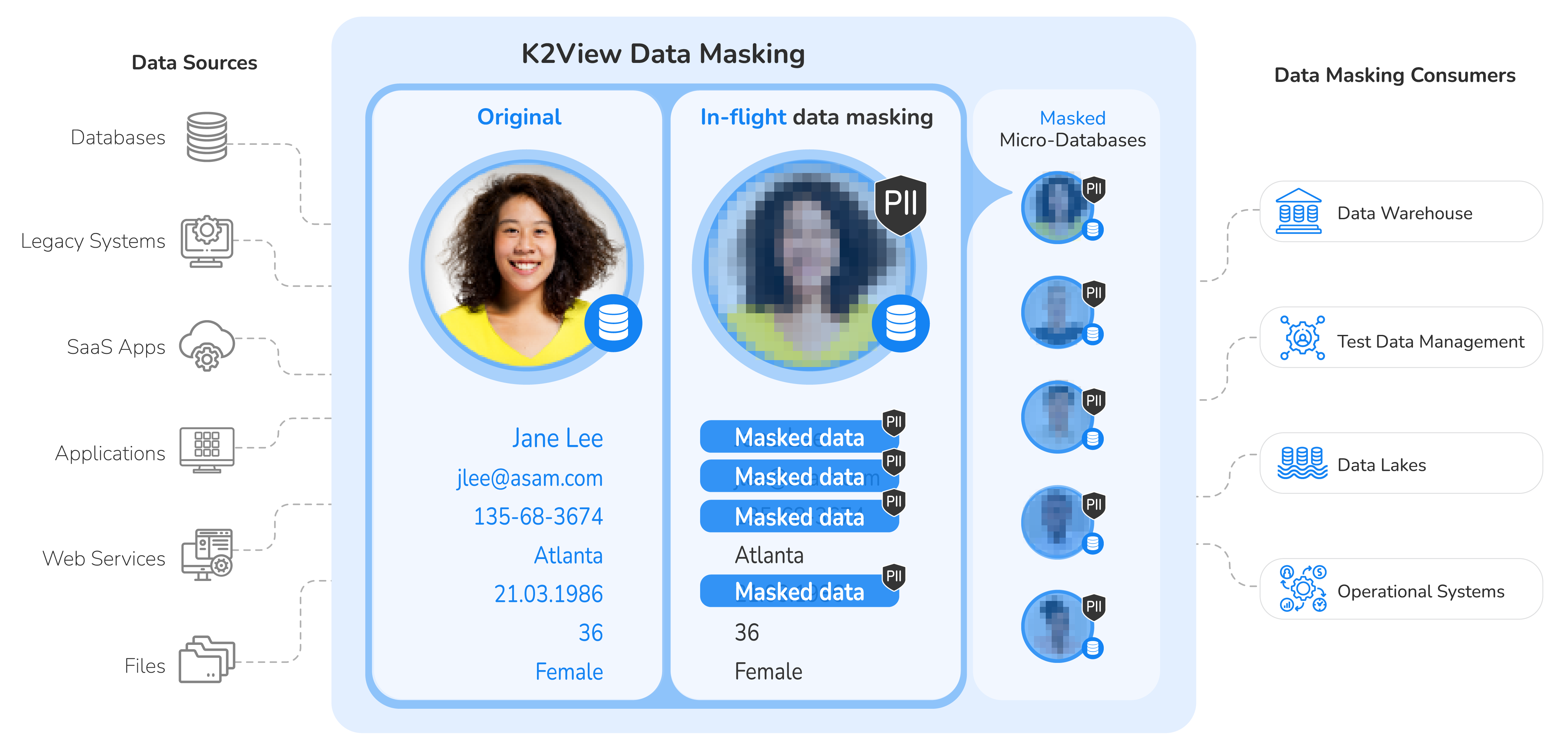 Patented data masking tools