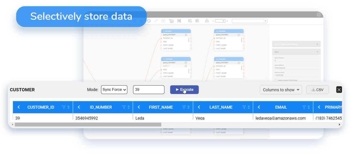 data-virtualization Virtualize-or-store